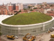 green roof