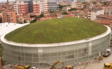 Green roofing